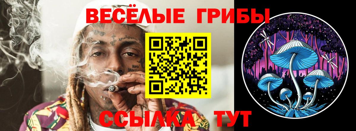 Галлюциногенные грибы MAGIC MUSHROOMS  Вход с VPN  Галлюциногенные грибы мицелий  Салехард 